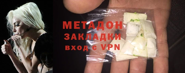 прущие грибы Горнозаводск