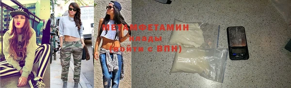 прущие грибы Горнозаводск