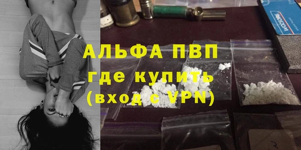 прущие грибы Горнозаводск