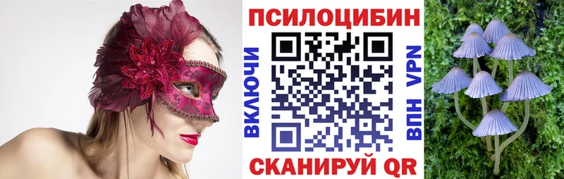 Галлюциногенные грибы Magic Shrooms Купить закладки Буйнакск