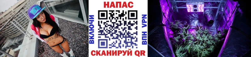 Купить  Буйнакск  Конопля LSD WEED 